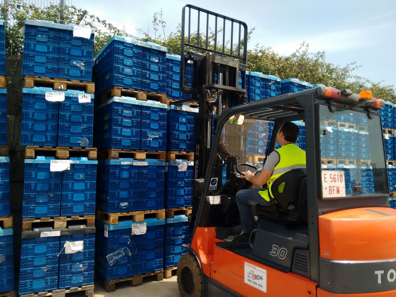 Curso de formación IFTEM