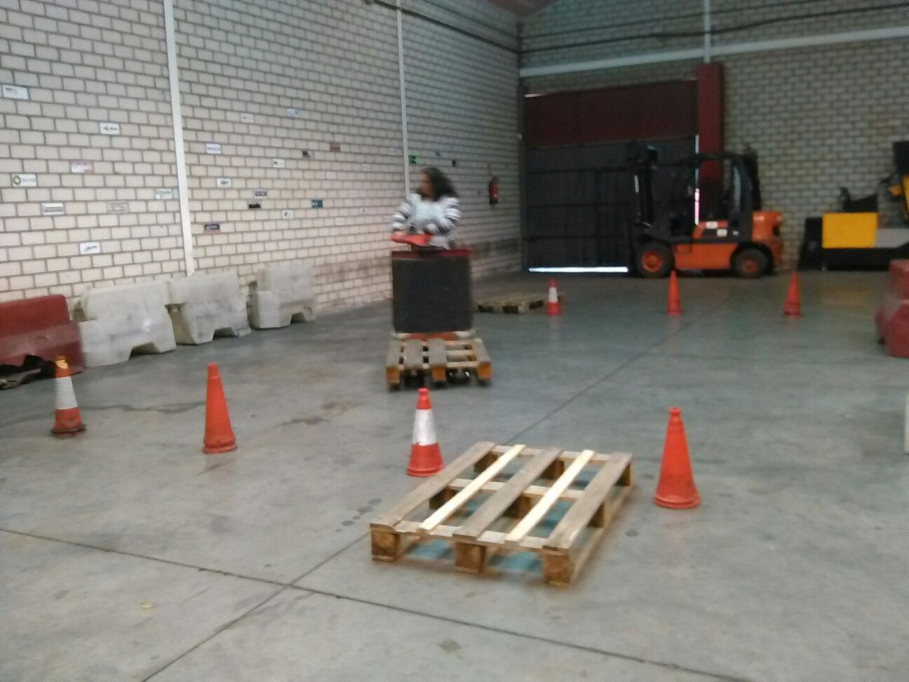 Curso de formación IFTEM