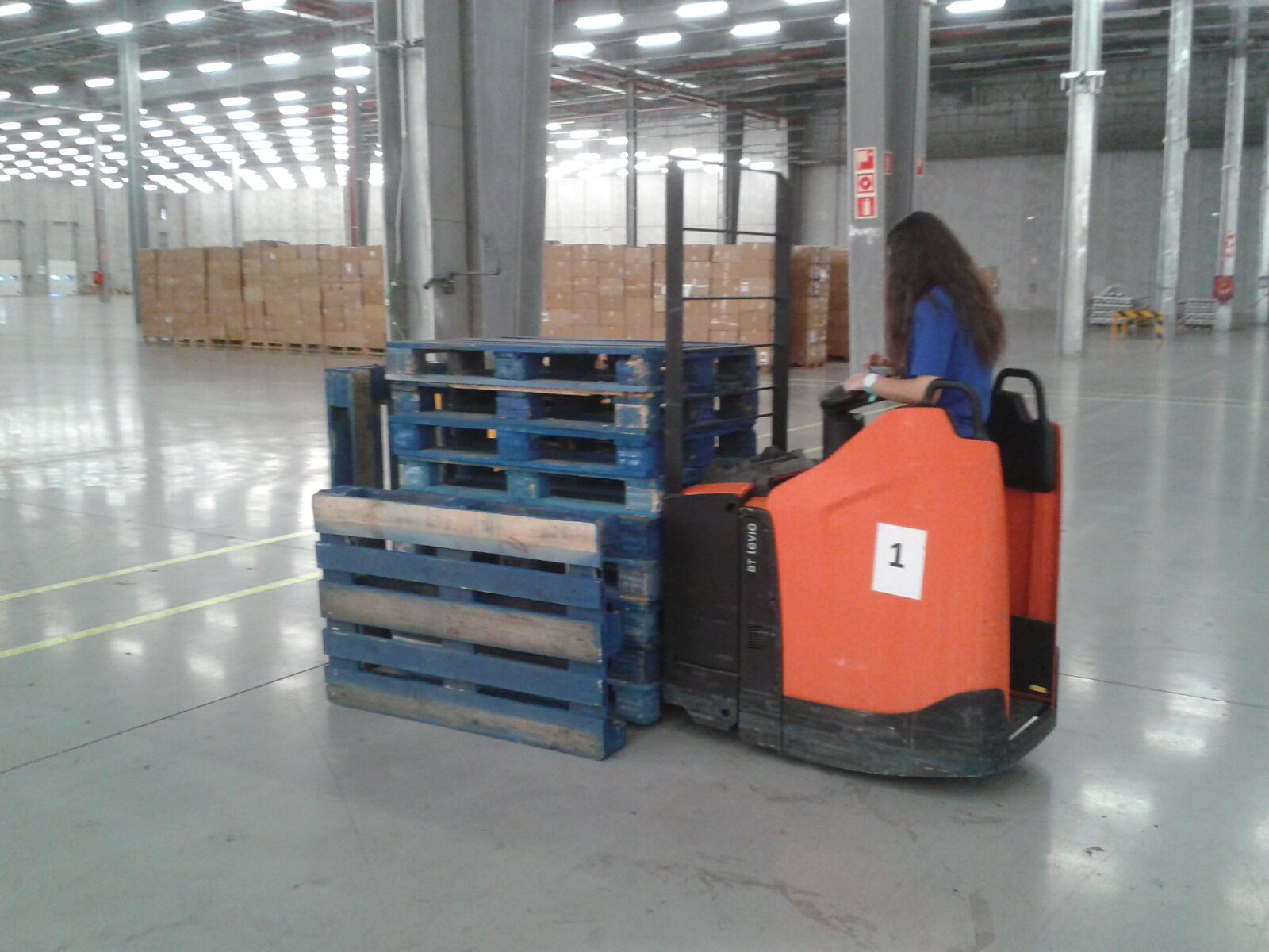 Curso de formación IFTEM