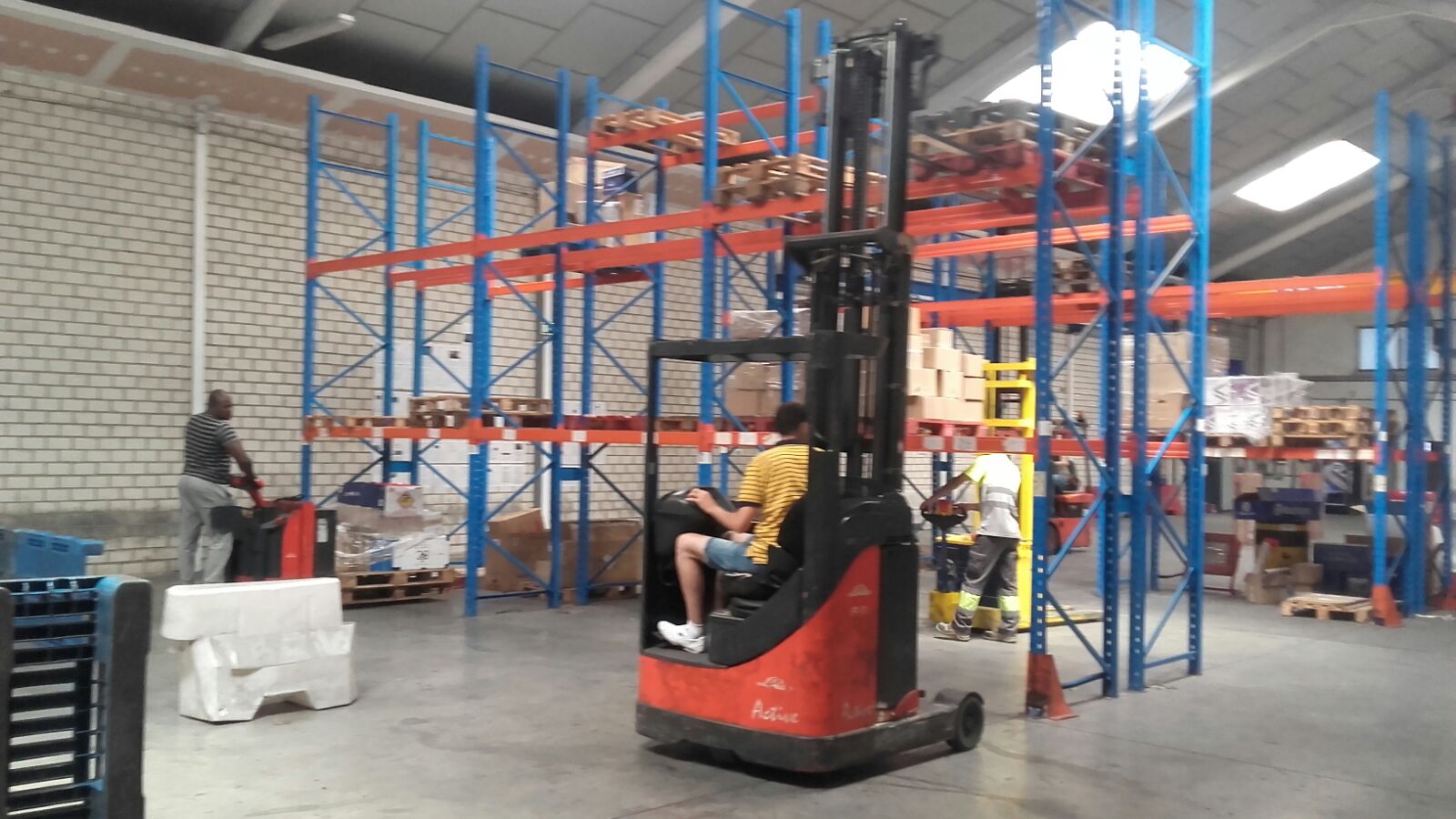 Curso de formación IFTEM